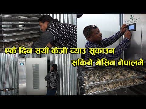 Mushroom Dryer