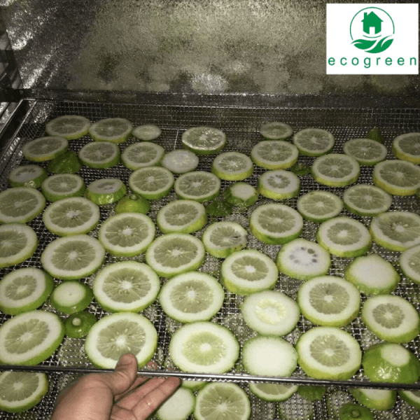 Lemon Drying