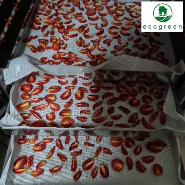 Tomato Drying