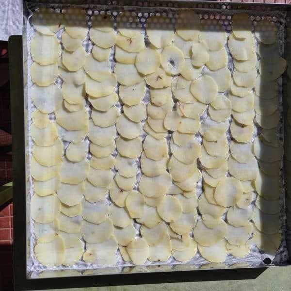 Dried Potato
